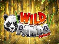 Wild Panda multiplayer gokkast